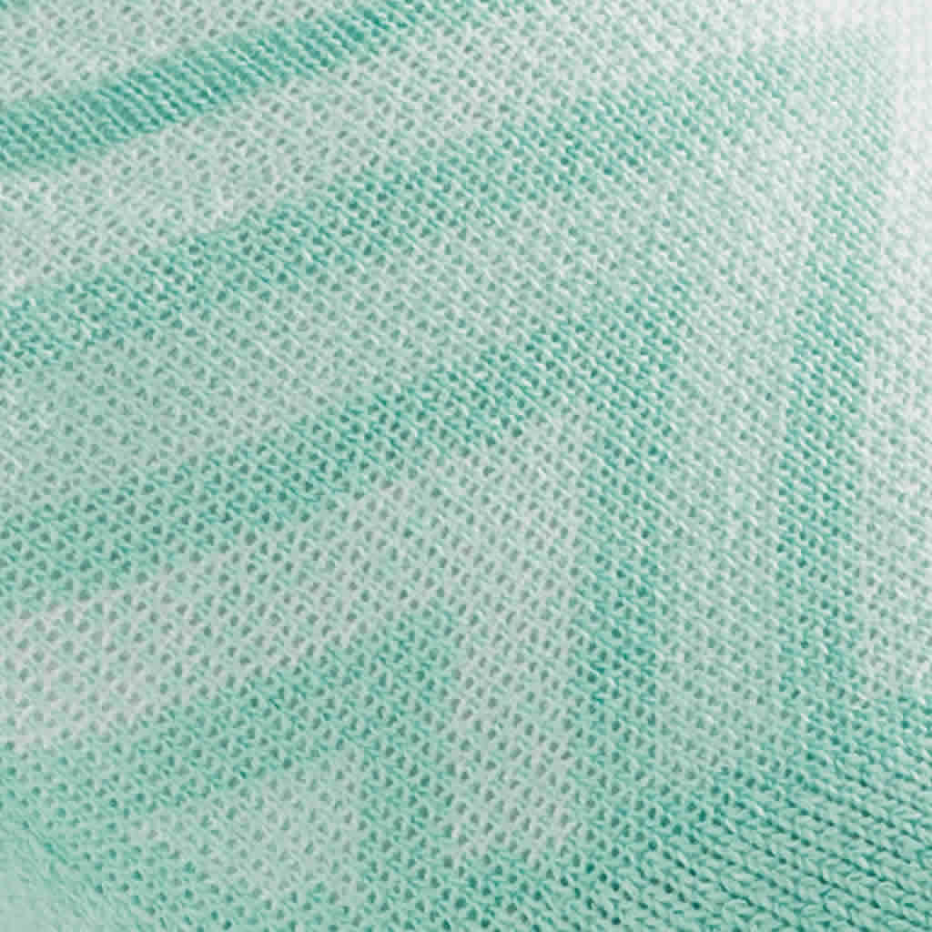 Women's Coolmax Run No Show Tab Ultra-Lightweight Running Socks