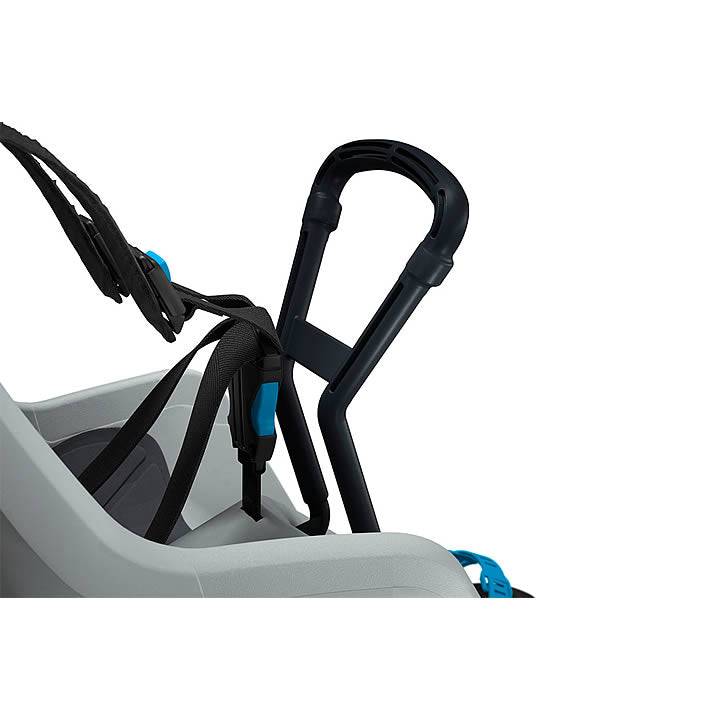 Thule RideAlong Mini Child Bike Seat