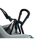 Thule RideAlong Mini Child Bike Seat
