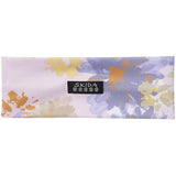 Skida Nordic Headband Women's
