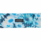 Skida Nordic Headband Women's