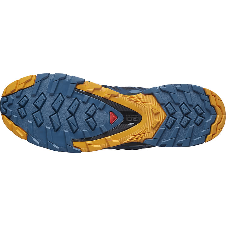 Salomon XA Pro 3D V8 Men's