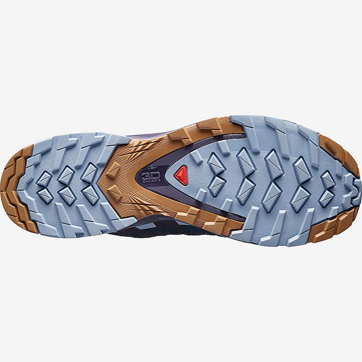 Salomon XA Pro 3D V8 Women's