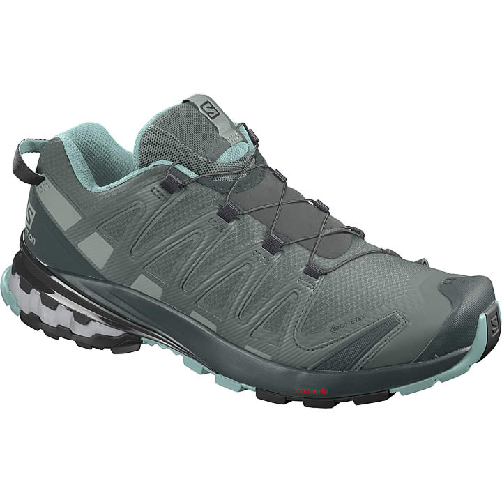 Salomon XA Pro 3D V8 GTX Women's