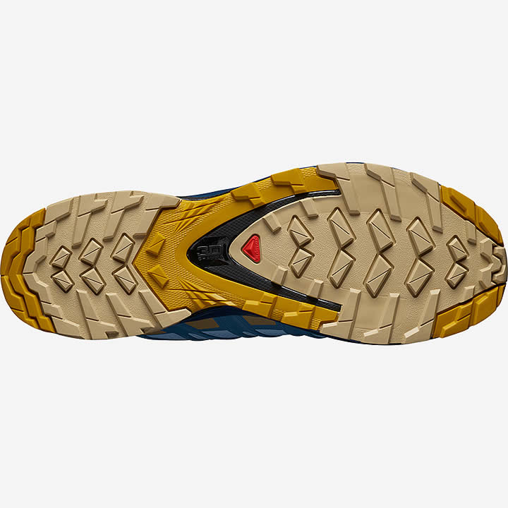 Salomon XA Pro 3D V8 GTX Women's