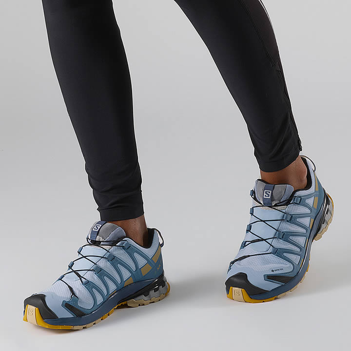 Salomon XA Pro 3D V8 GTX Women's