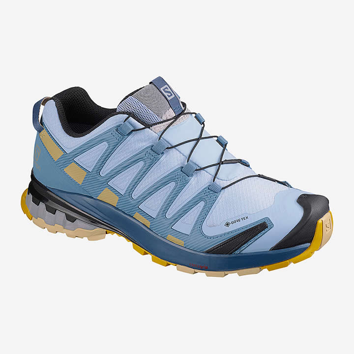 Salomon XA Pro 3D V8 GTX Women's