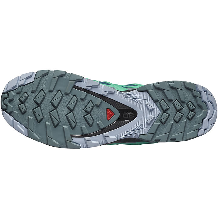 Salomon XA Pro 3D V8 GTX Women's