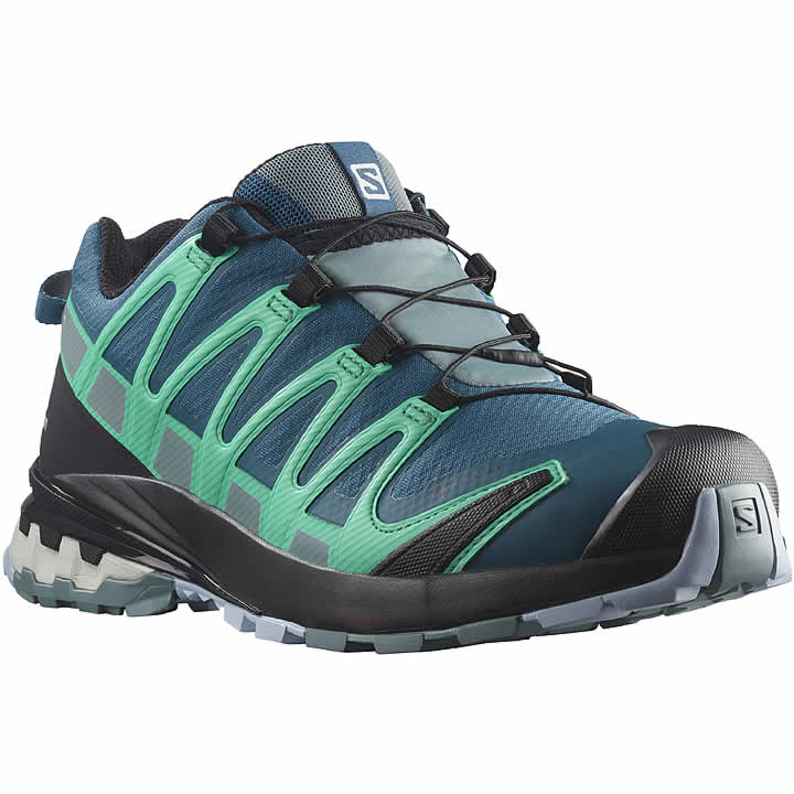 Salomon XA Pro 3D V8 GTX Women's