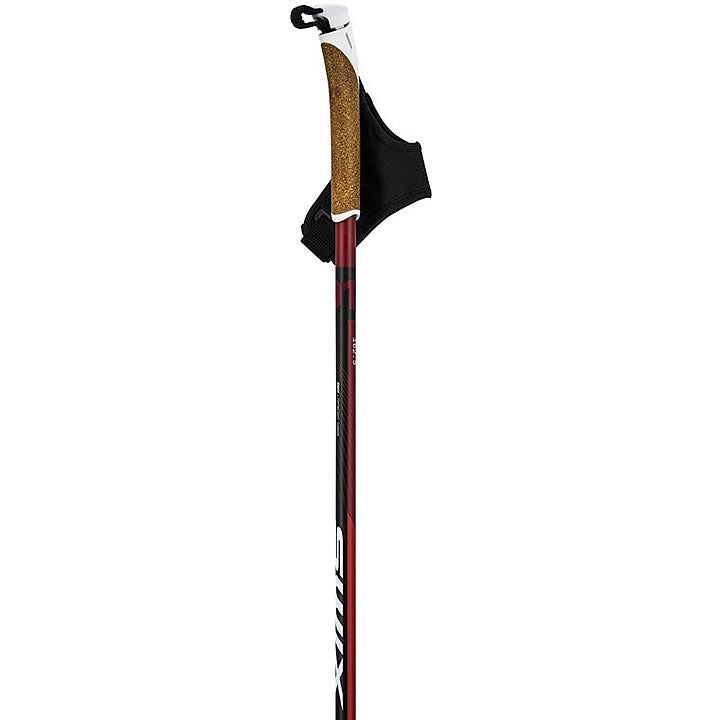 Dynamic D1 Pole 2024-25