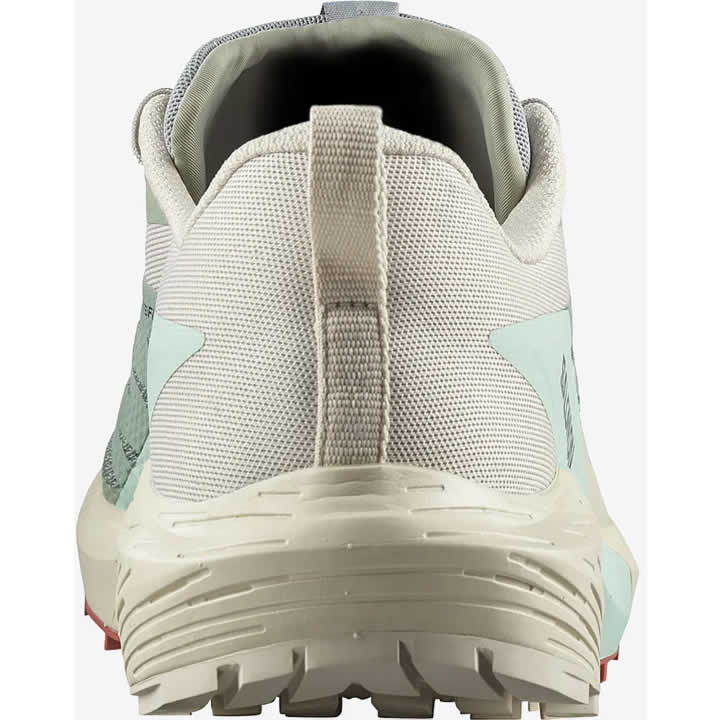 Salomon Sense Ride 5 Men's