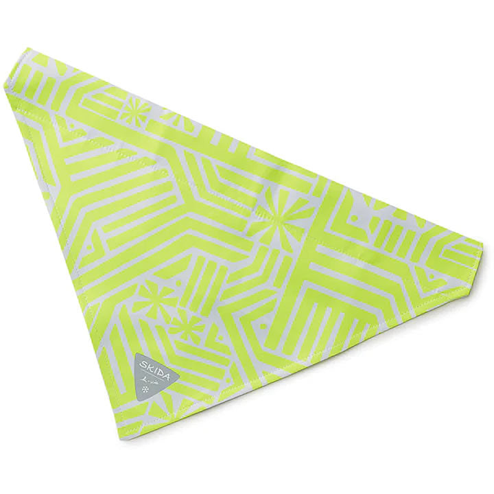 Dog Bandana