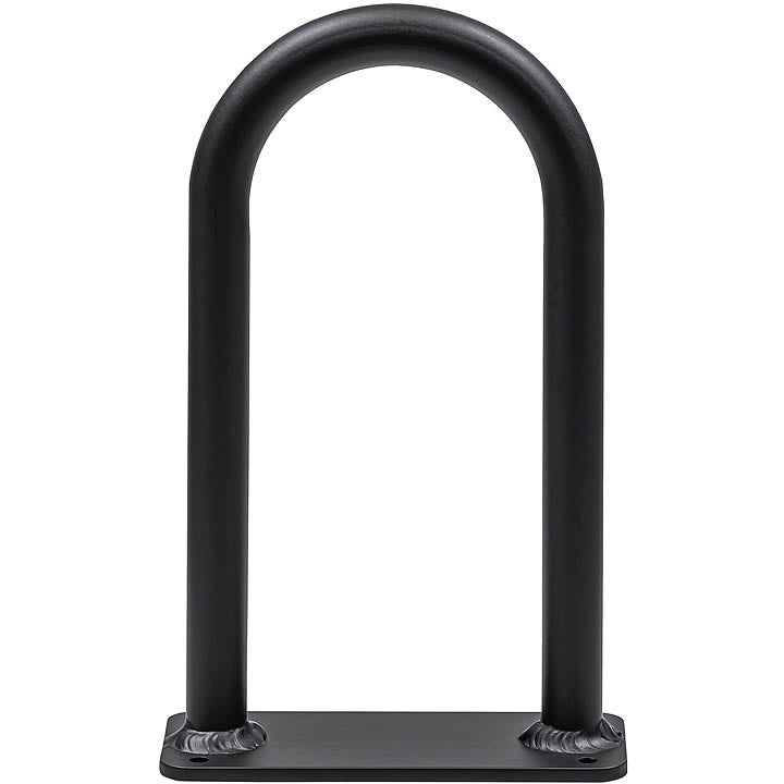 Globe Passenger Handlebar
