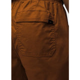 Mojave Short