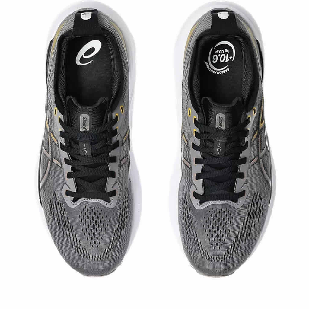 Men's GEL-Kayano 31