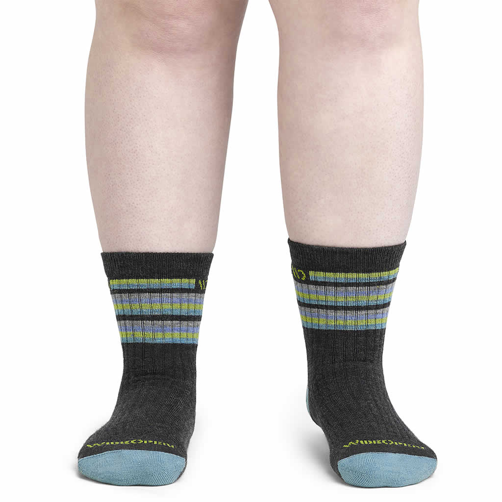 Women's Multi Stripe Midweight Cushion Micro Crew Sock