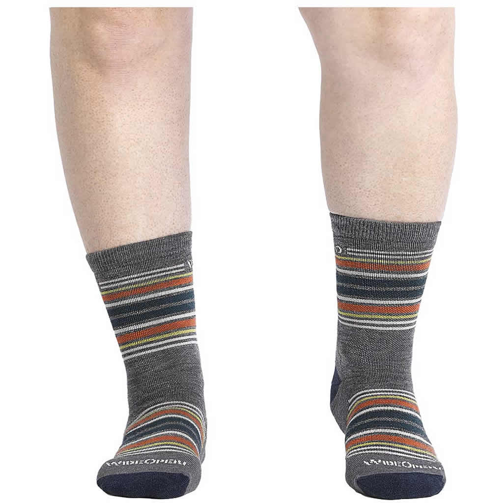 Men's Multi Stripe Midweight Micro Crew Sock