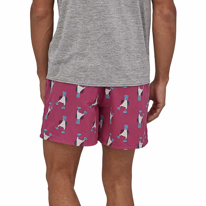 Patagonia Baggies Shorts 5" Men's