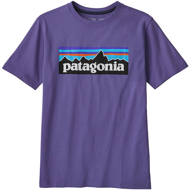 Patagonia Regenerative Organic Certified Cotton P-6 Logo T-Shirt Kids'