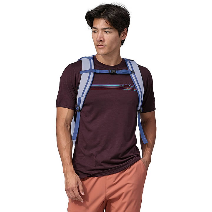 Patagonia Black Hole Pack 32L