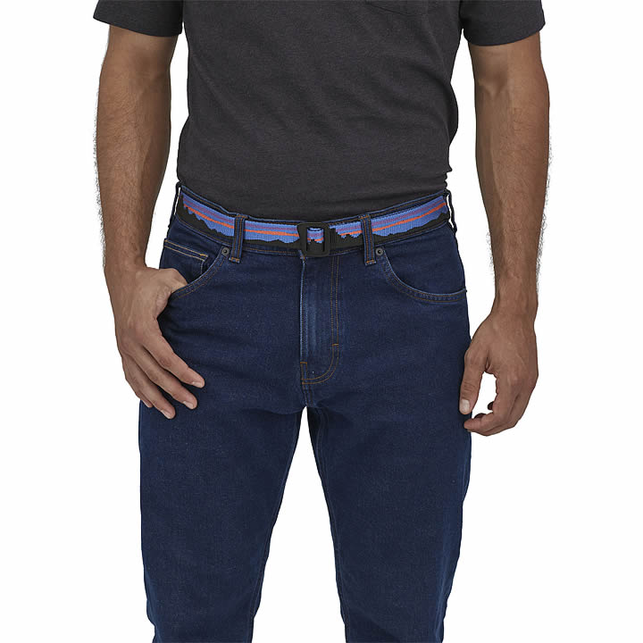Patagonia Friction Belt