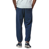 Patagonia Fitz Roy Icon Uprisal Sweatpants Men's