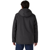 Patagonia Isthmus Parka Men's
