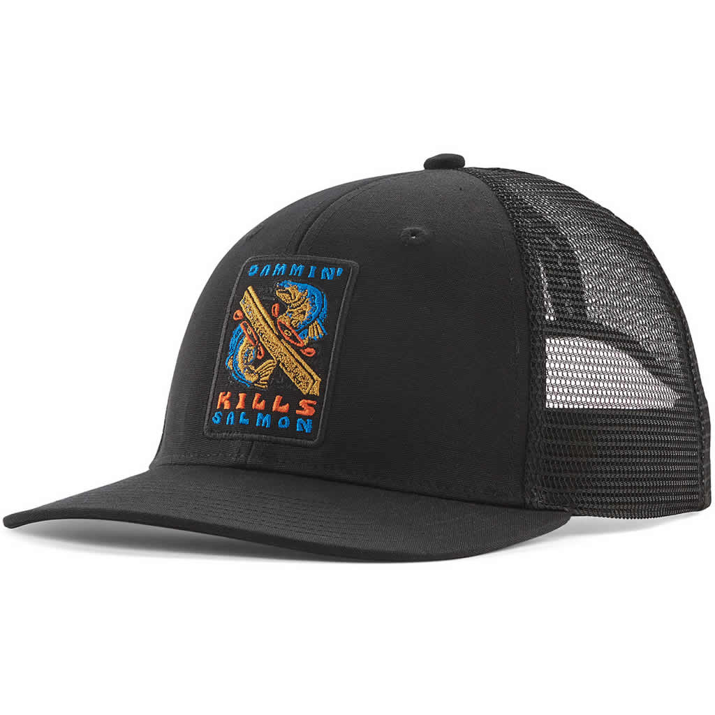 Patagonia Take a Stand Trucker Hat