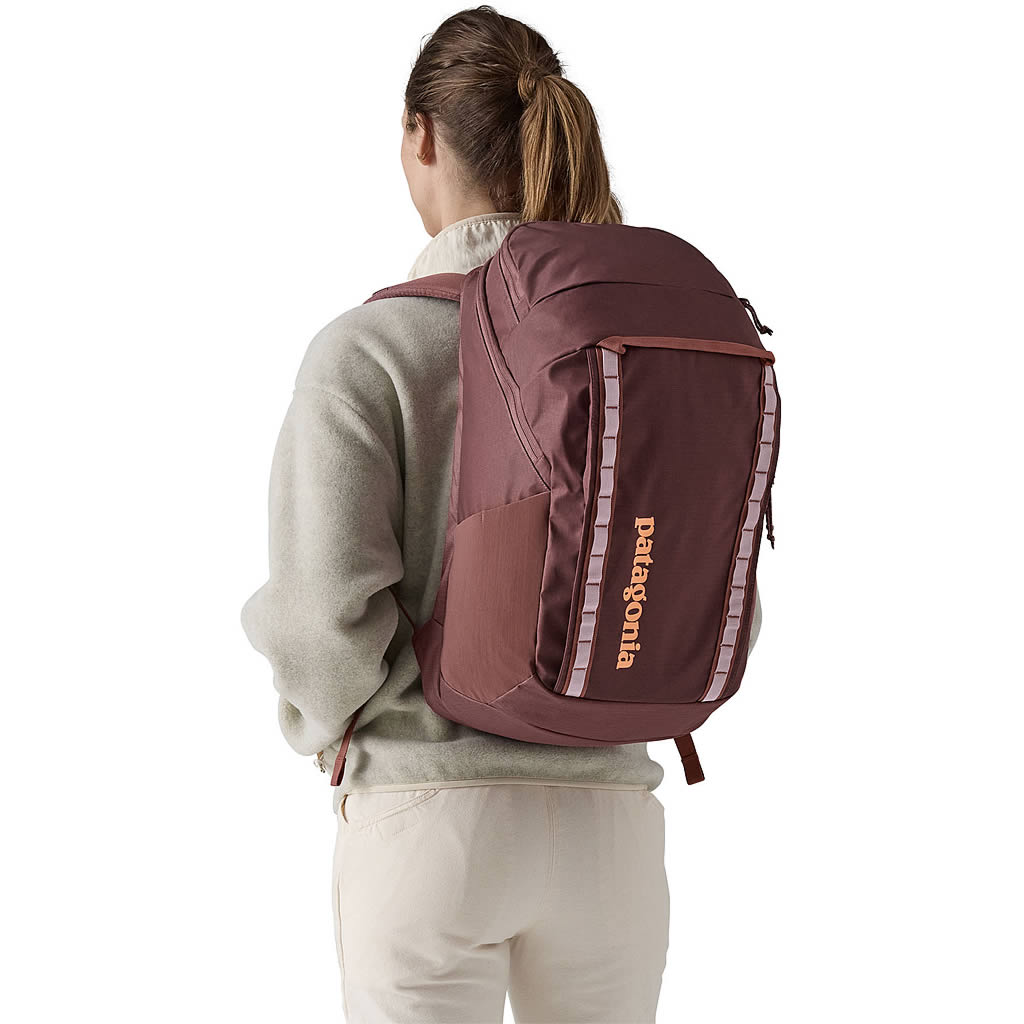 Patagonia Black Hole Pack 32L