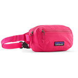 Terravia Mini Hip Pack