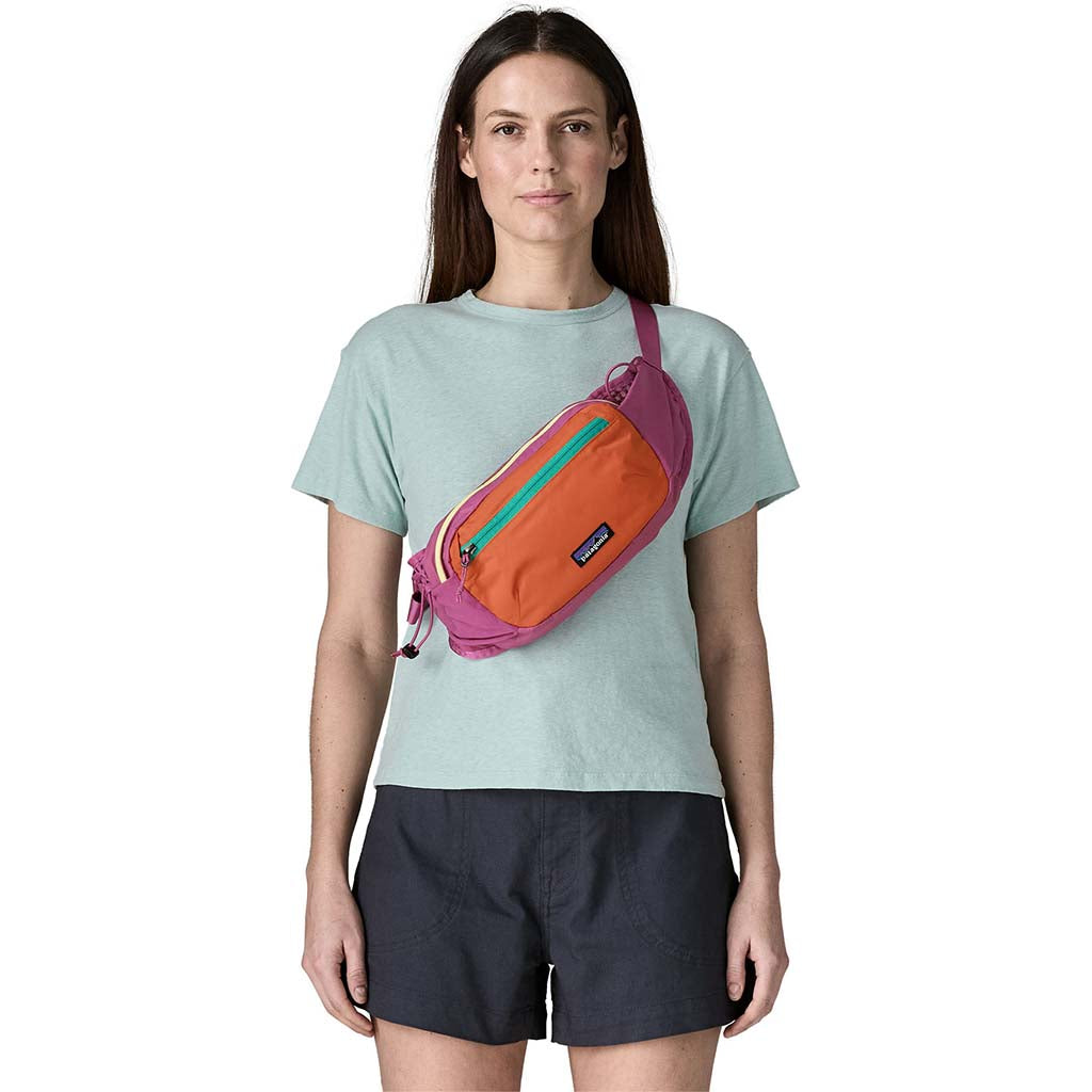Terravia Hip Pack