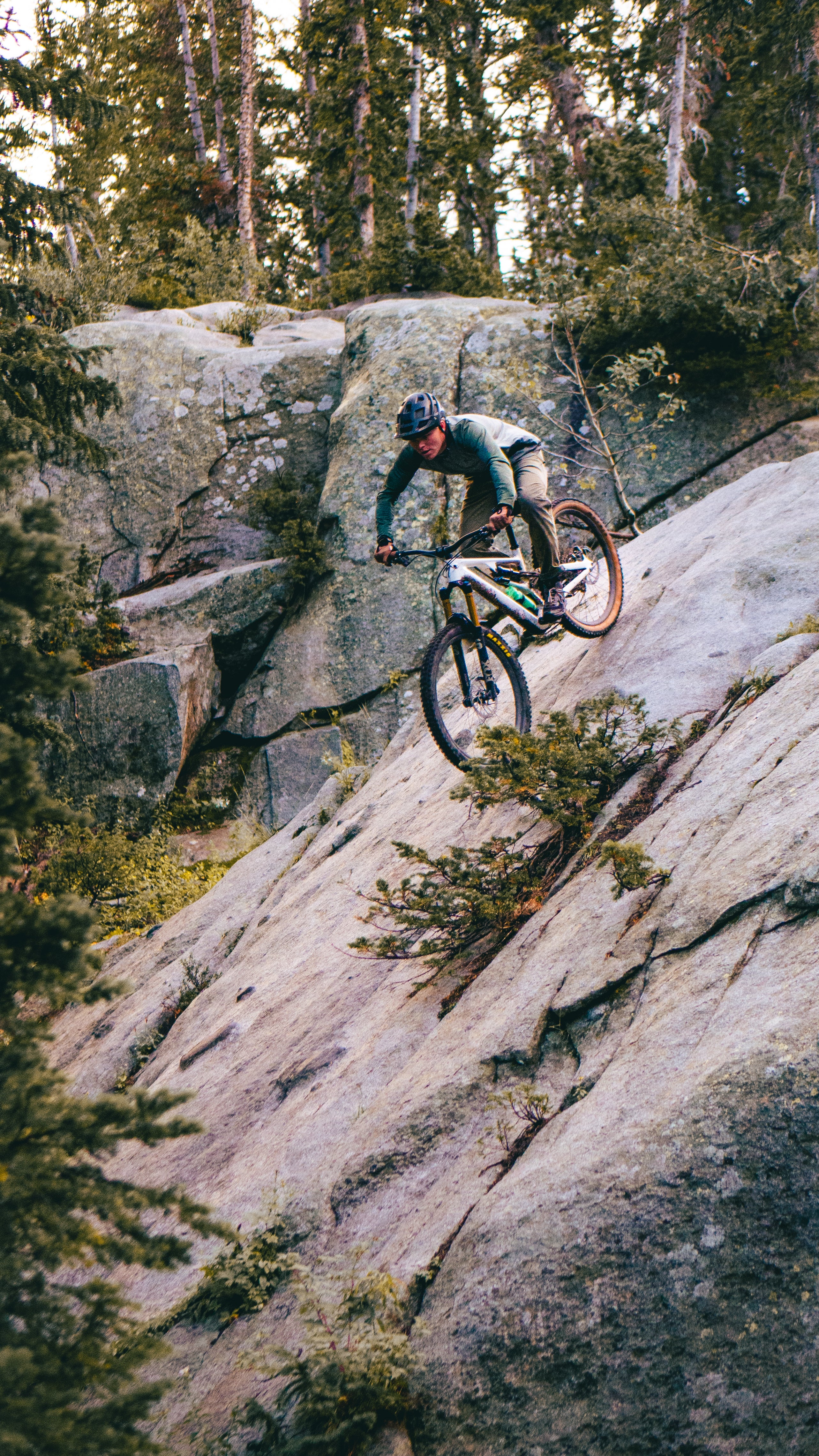 MTB