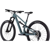 Habit 1 Carbon