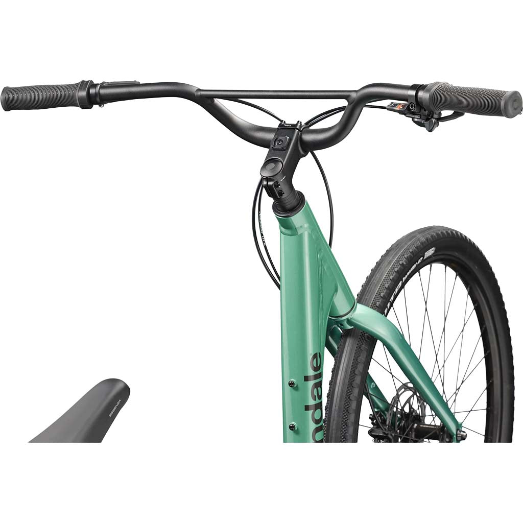 Treadwell 2 StepThru