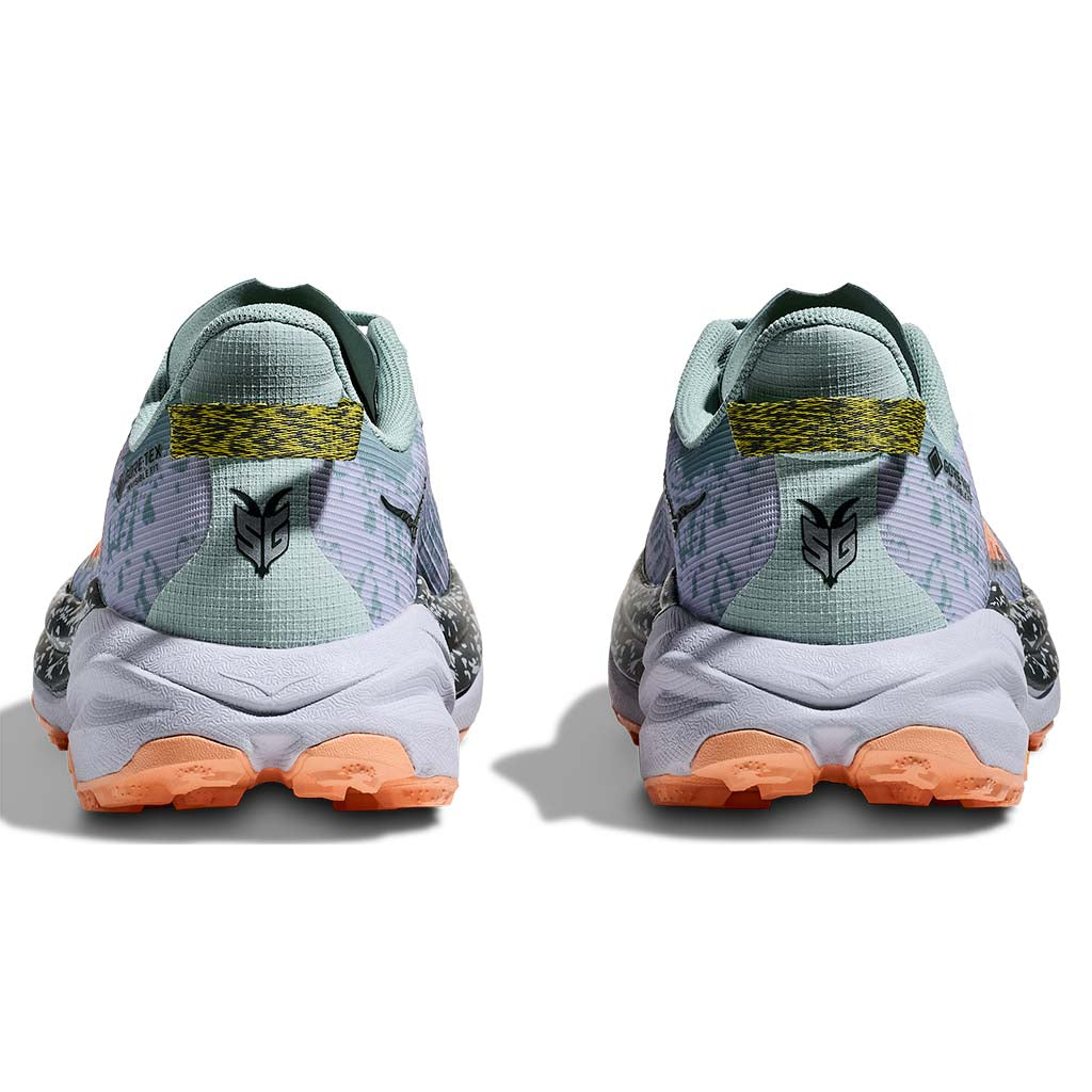 Women's Speedgoat 6 GTX Running Shoe