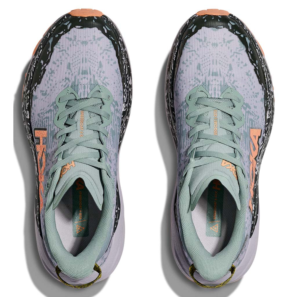 Women's Speedgoat 6 GTX Running Shoe