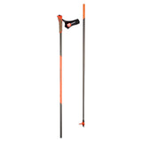 Force 10 Pole 2025