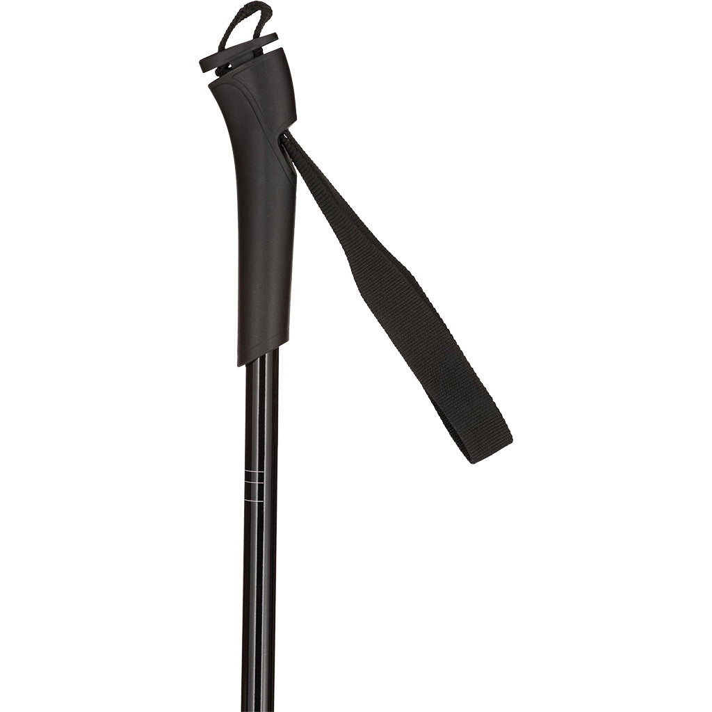 FT-501 Jr Pole