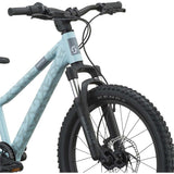 Roxter 200