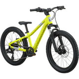 Roxter 200