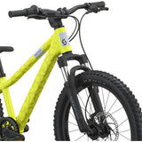 Roxter 200