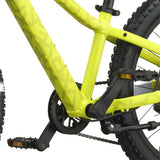 Roxter 200