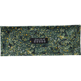 Alpine Headband
