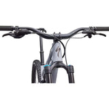 Stumpjumper 15 EVO Comp Alloy