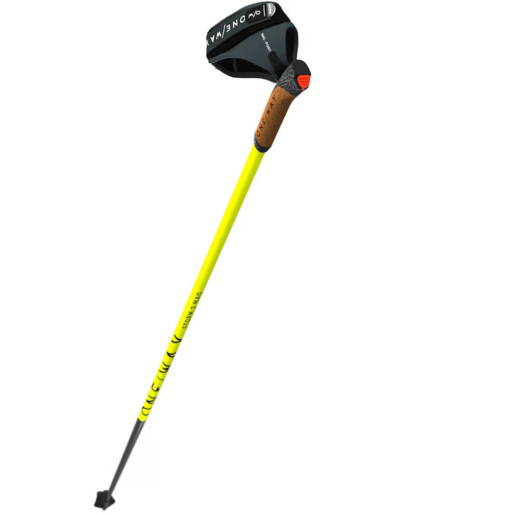 Storm 2 Mag Nordic Ski Pole