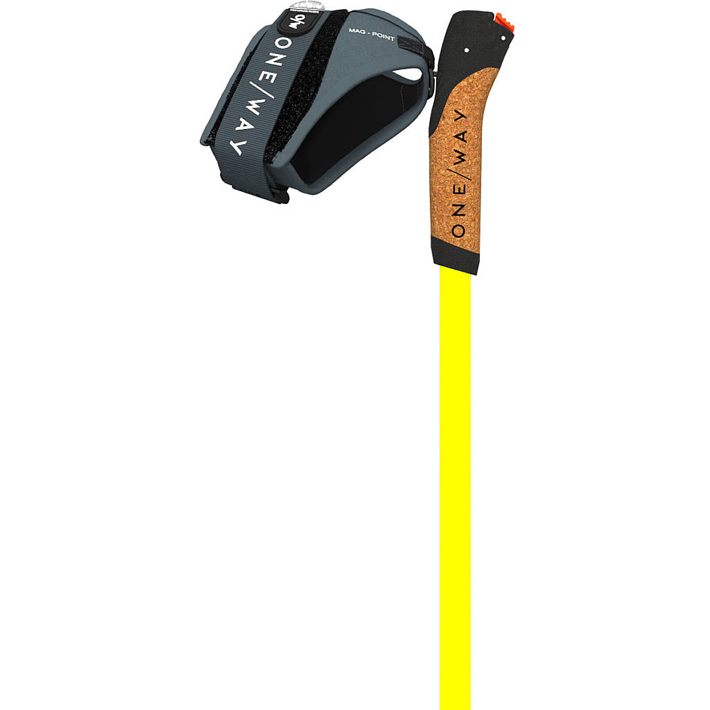 Storm 2 Mag Nordic Ski Pole