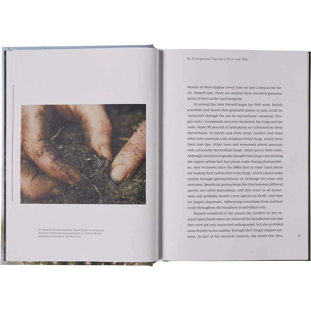 Sweet In Tooth & Claw - Book